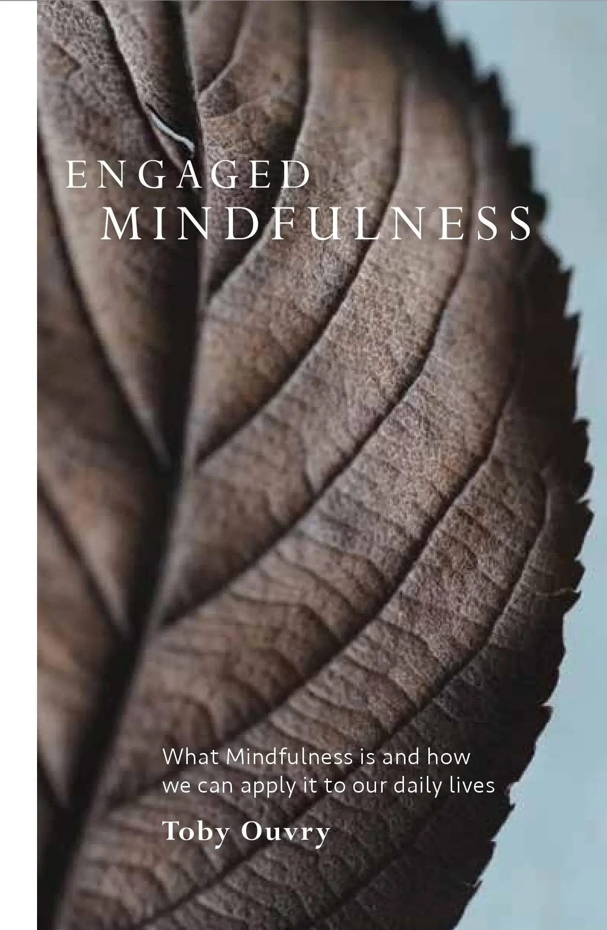 Engaged Mindfulness - Toby Ouvry