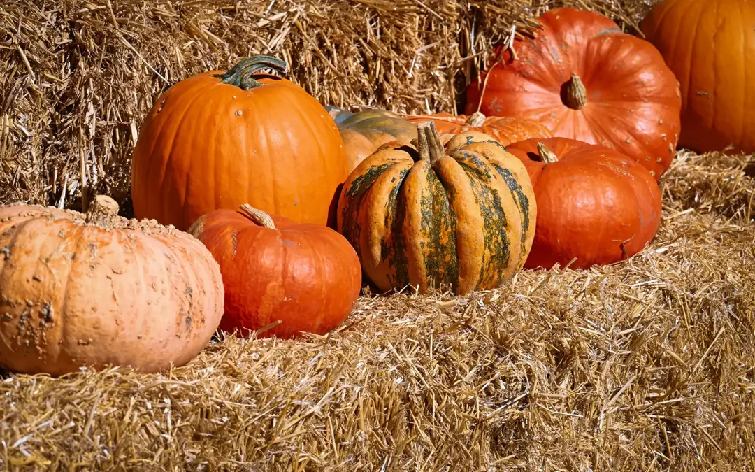 Awareness Days & Cultural Calendar For October 2027