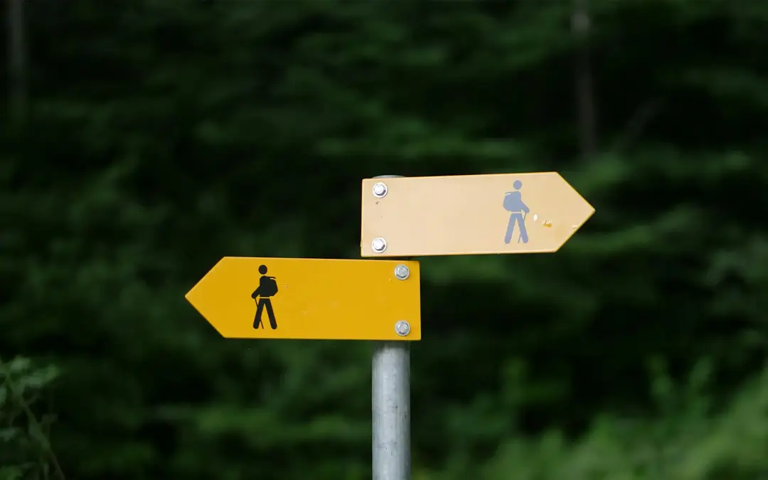Conceptual illustration about reframing a choice; abstract shapes and bright colors suggest decision-making.