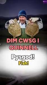 Dim Cwsg i Quinnell - Scott Quinnell