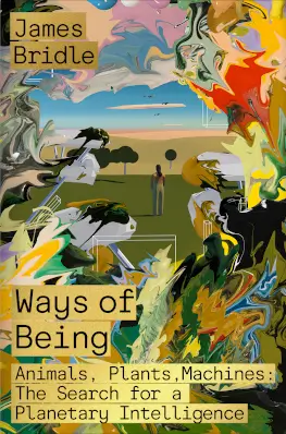 Ways Of Being - James Bridle